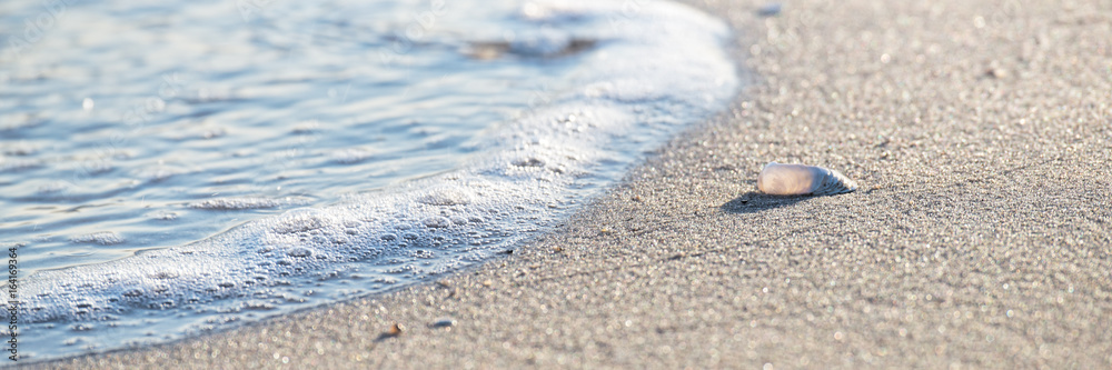 Meer, Sand und Muschel - Nahaufnahme Meer, Sand und Muschel - Nahaufnahme