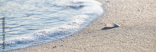 Meer, Sand und Muschel - Nahaufnahme
