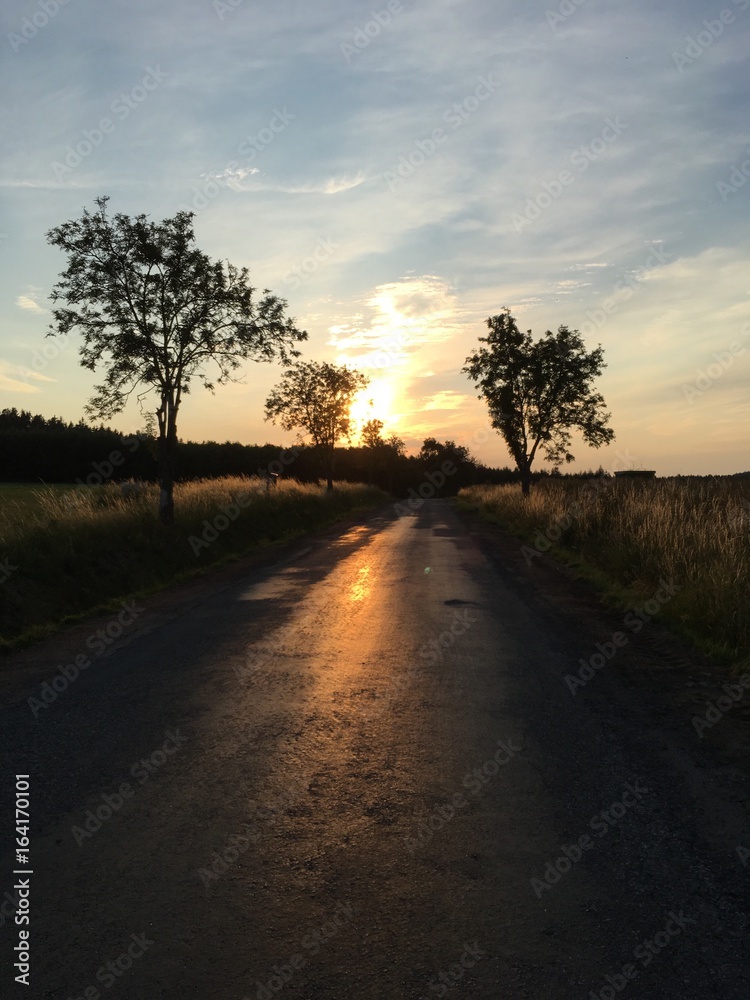 country road in the sunset