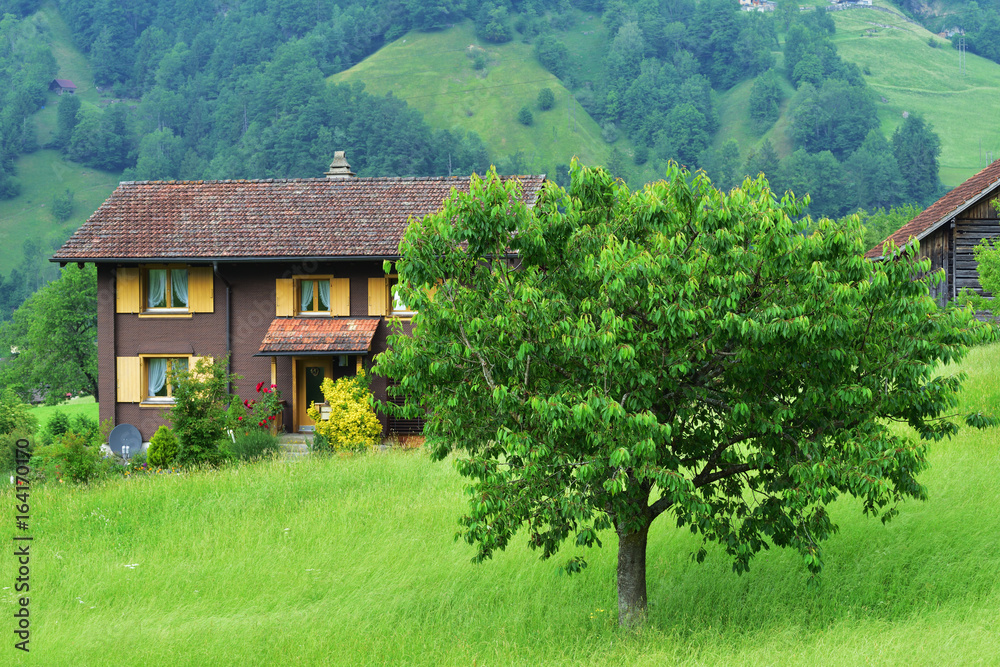 Stunning alpine landscape in canton Uri, Switzerland Stunning alpine landscape in canton Uri, Switzerland