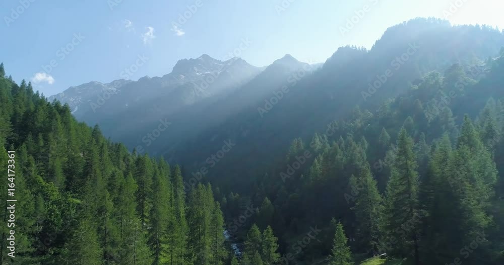 moving up away above pine woods forest and mountain valley with sun flare in summer.Europe Italy Alps outdoor green nature scape mountains wild aerial establisher.4k drone flight establishing shot moving up away above pine woods forest and mountain valley with sun flare in summer.Europe Italy Alps outdoor green nature scape mountains wild aerial establisher.4k drone flight establishing shot