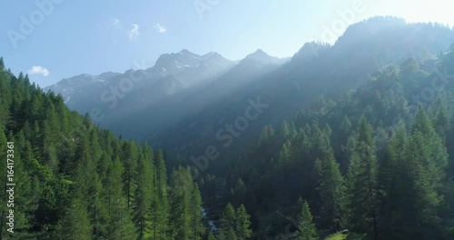 moving up away above pine woods forest and mountain valley with sun flare in summer.Europe Italy Alps outdoor green nature scape mountains wild aerial establisher.4k drone flight establishing shot