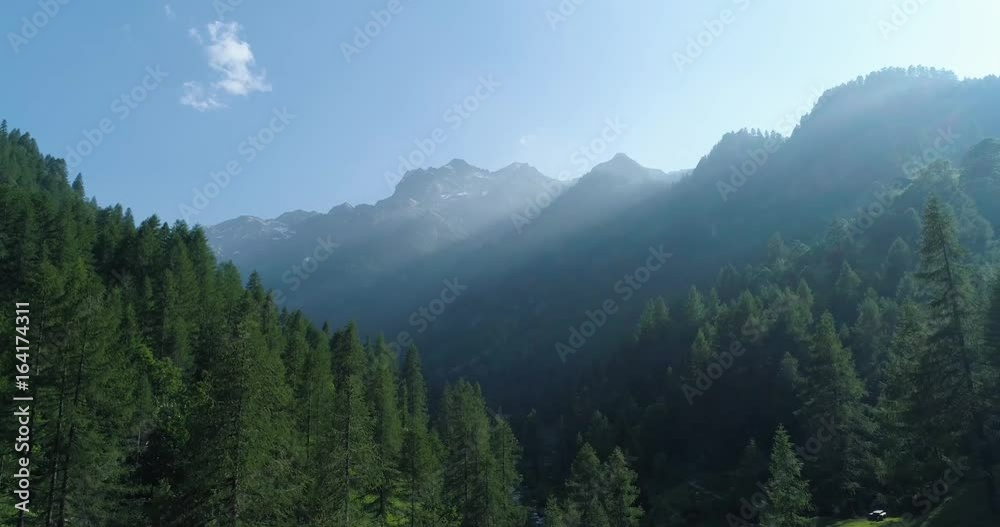 moving side to pine woods forest and mountain valley with sun flare in summer day.Europe Italy Alps outdoor green nature scape mountains wild aerial establisher.4k drone flight establishing shot moving side to pine woods forest and mountain valley with sun flare in summer day.Europe Italy Alps outdoor green nature scape mountains wild aerial establisher.4k drone flight establishing shot