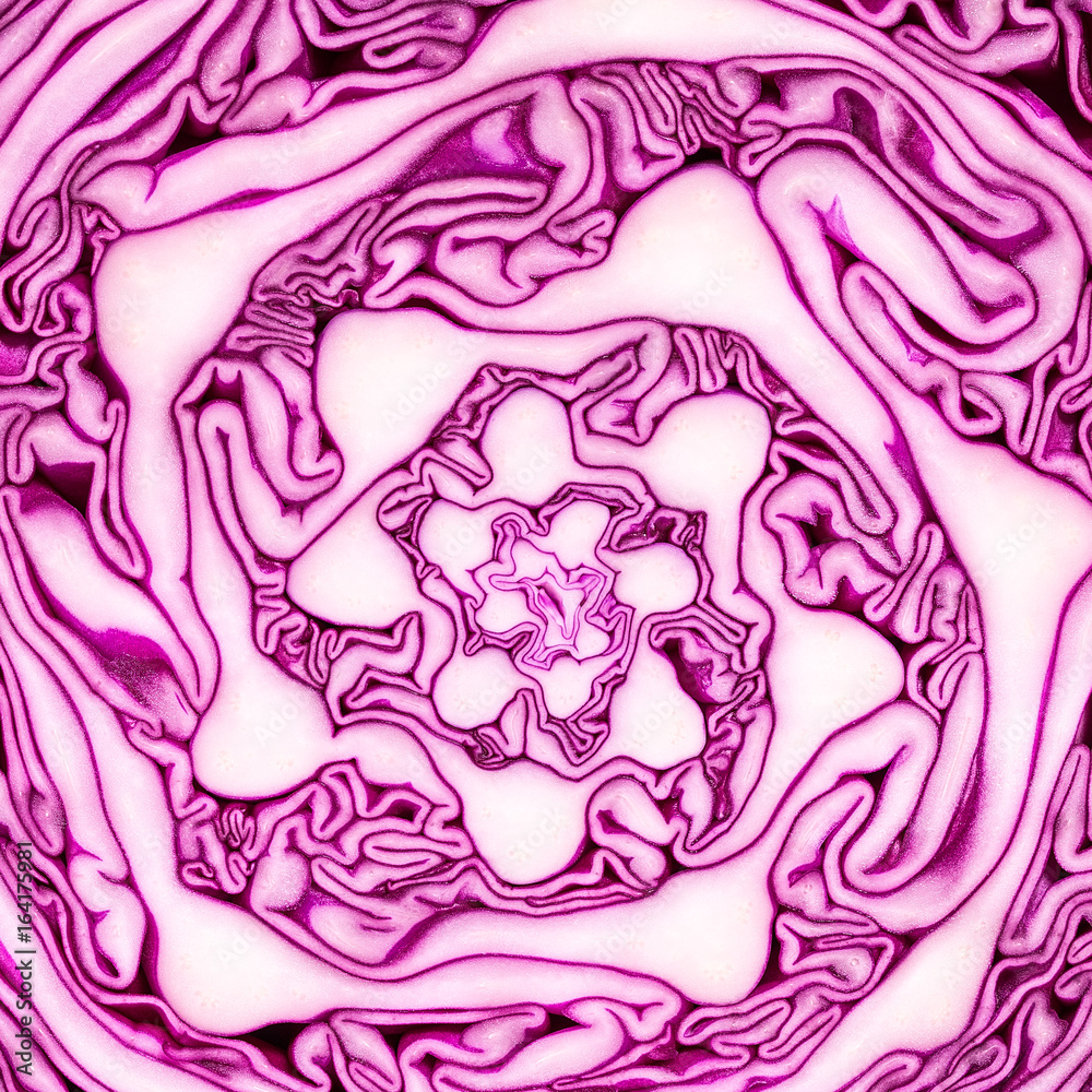 Obraz premium Texture of red cabbage cut