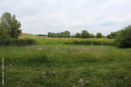 Gelderlandse polder