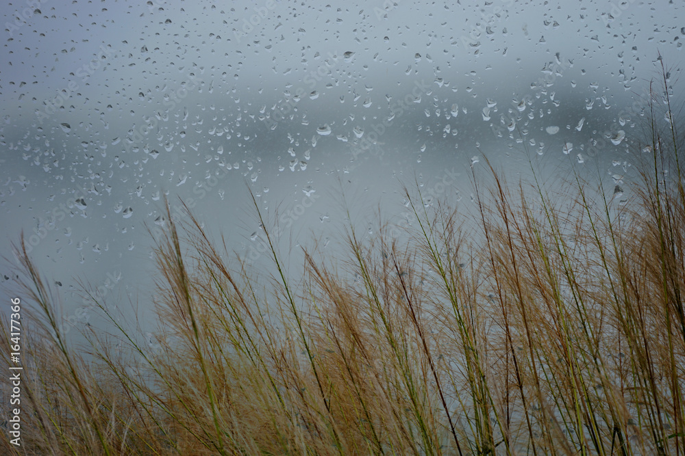 Fototapeta premium The rainy season is a farmer's farm season and is ideal for a relaxing holiday.