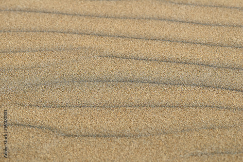 Texture of sand in macro