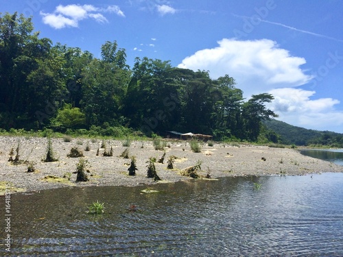 Bamboo rafting on the beautiful tropical Rio Grande river in the sunny Portland Parish of the island of Jamaica (Caribbean) on a summer day with cloudy blue sky photo