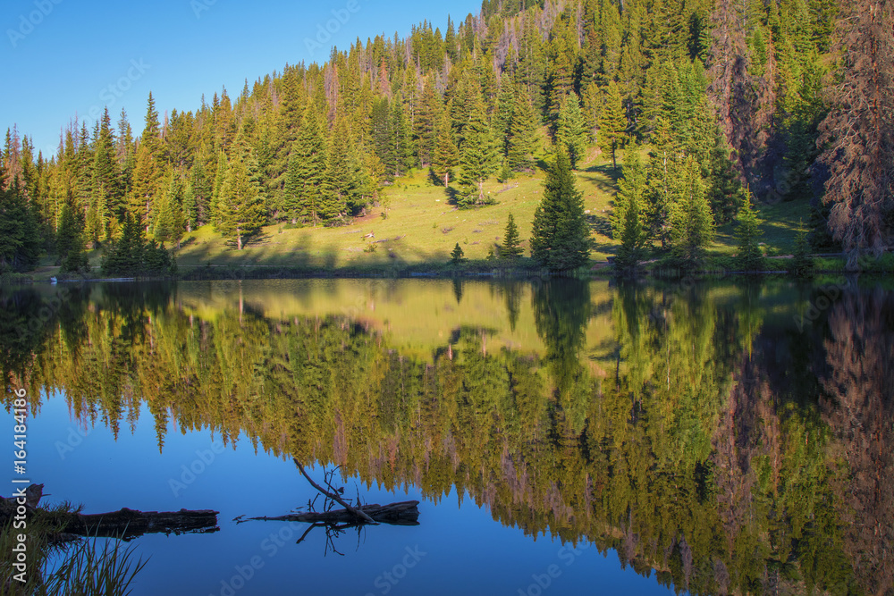 Reflection in lake 