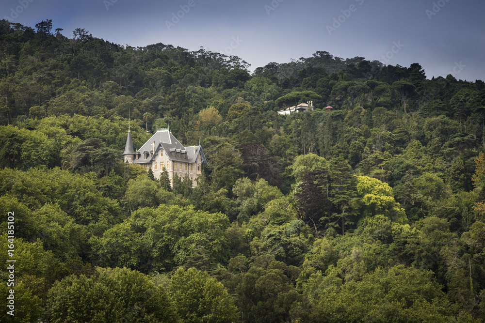 Landscape of the city of Sintra