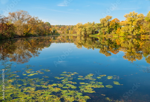 Autumn landscape with a forest lake