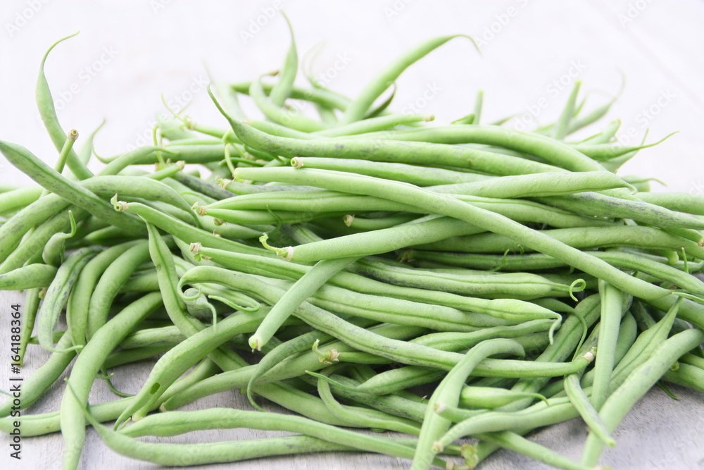récolte d'haricots verts du jardin bio,en été