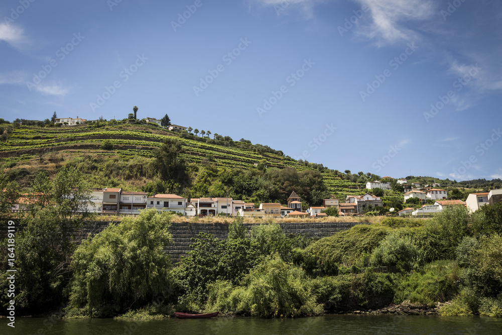 Vineyards in the Douro river region, in the town of Mesão Frio, portugal