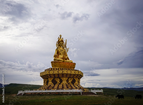 Big Buddha on the grass hill at Yarchen Gar photo