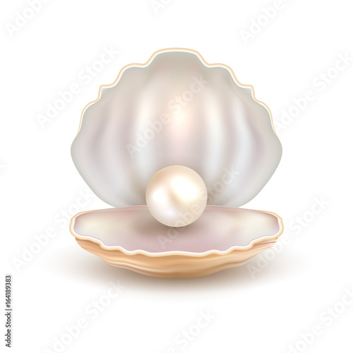 Pearl open shell realistic illustration. Natural beautiful single pearl sea jewelry