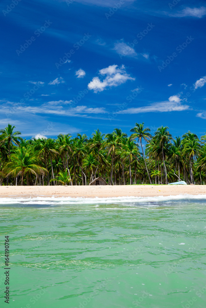 Obraz premium tropical beach in Maldives with few palm trees and blue lagoon