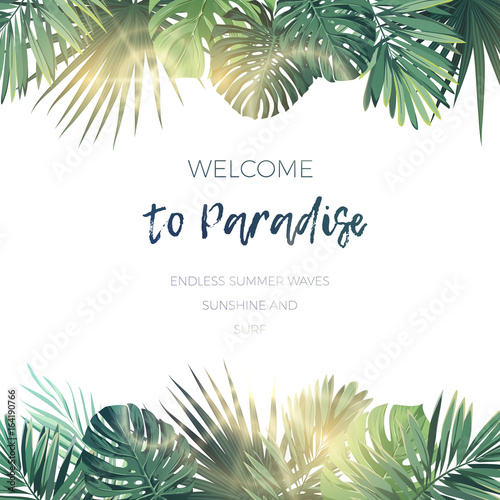 Green summer tropical background with exotic palm leaves and plants. Vector floral background.