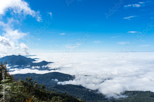 Fototapeta Naklejka Na Ścianę i Meble -  Mist over the mountains with blue sky background at doi inthanon. thailand