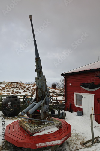 Bofors 40 anti-aircraft gun. Garden of townhouse-Nordmela-Andoya-Lofoten Vesteralen islands-Norway. 0060 photo