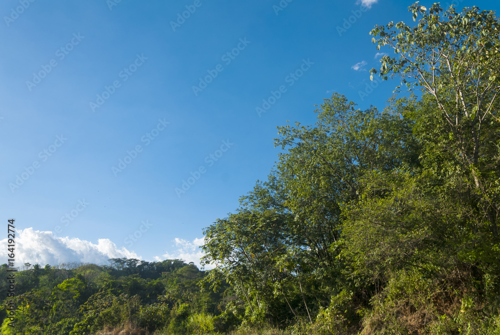 Summer landscape with bright blue sky and green forest in Guatemala