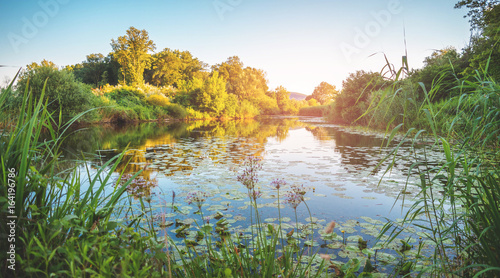 Feuchtgebiet bei den March, Donauauen in Österreich, Marchfeld