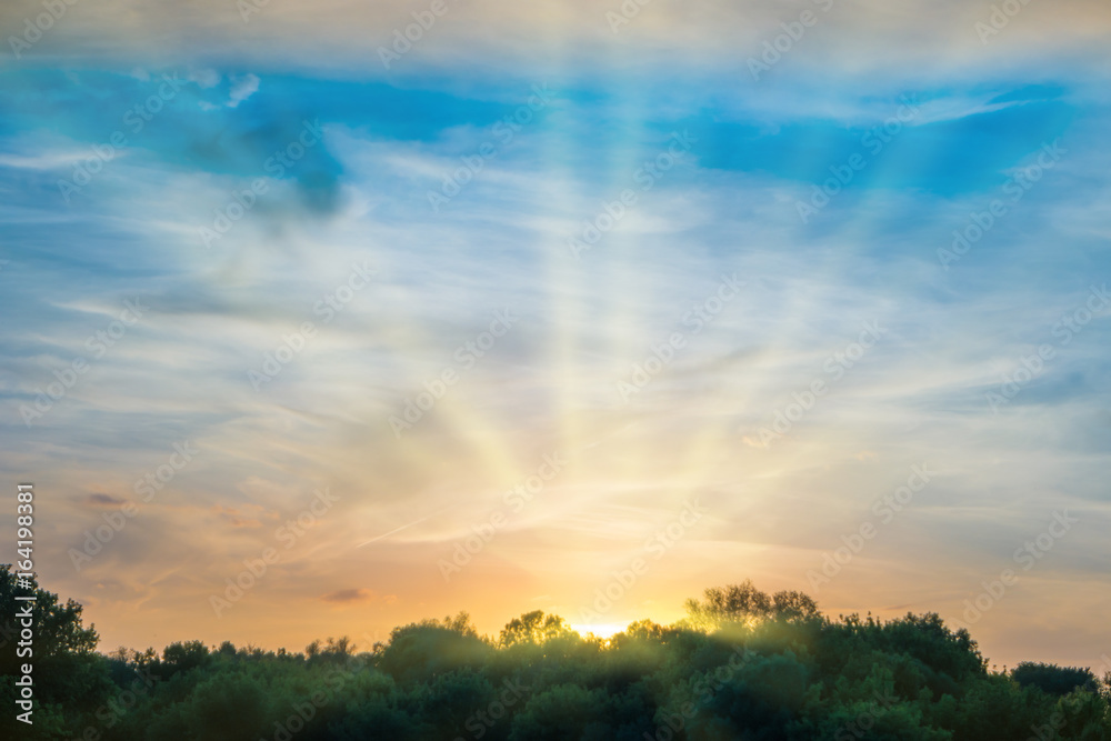 Sunset over forest silhouette