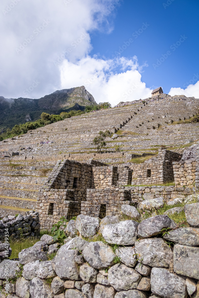 Terraces at Machu Picchu Inca Ruins - Sacred Valley, Peru