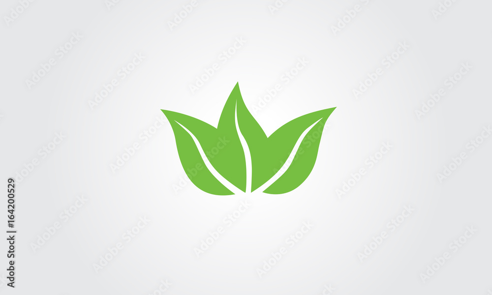 Green leaf isolated on white Green leaf isolated on white