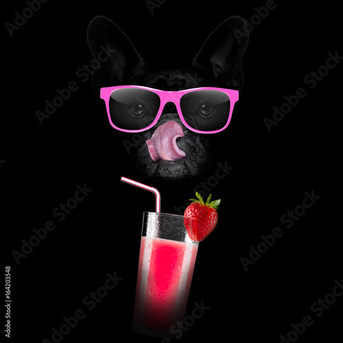Fototapeta Naklejka Na Ścianę i Meble -  smoothie millshake cocktail dog