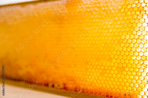 wooden frame with honeycomb full of honey