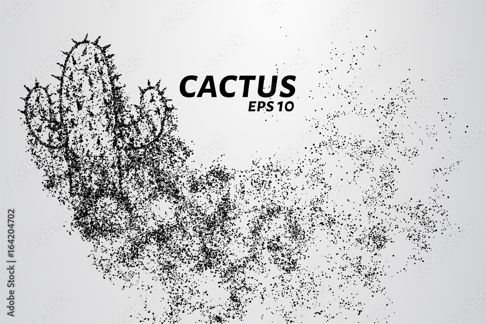 Cactus of the particles. Cactus consists of small circles and dots.