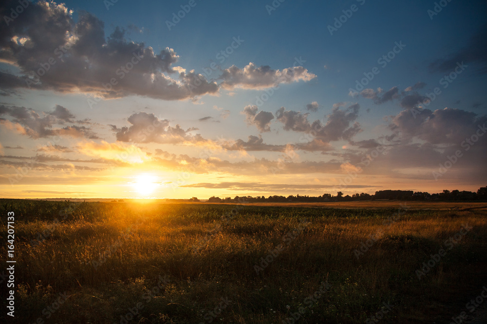 Colorful sunset on a cloudy sky background in a field, summer nature Colorful sunset on a cloudy sky background in a field, summer nature