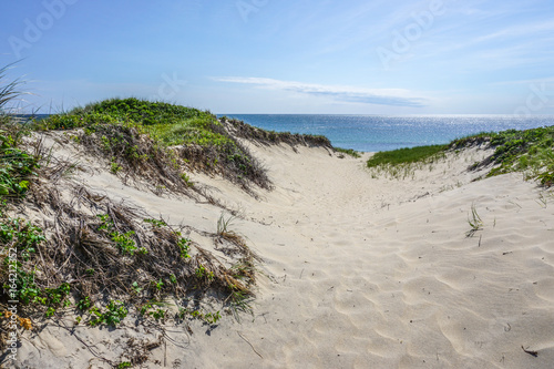 Martha's Vineyard Path to Beach through Dunes
