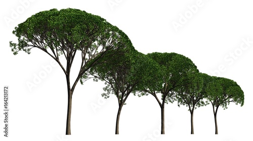 Group of trees isolated on white 3d illustration