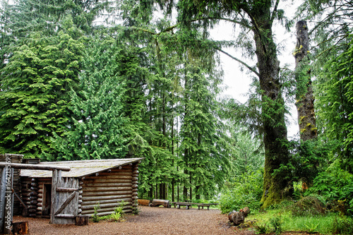 Lewis and Clark's Fort Clatsop in the Old Growth Forest photo