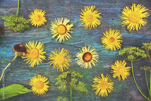 Grußkarte - Blumen - Flatla...