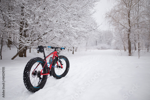fat bike standing in the snow photo