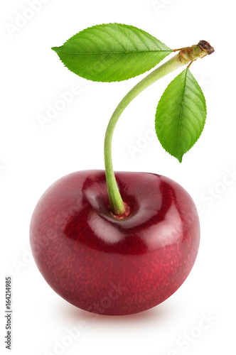 Isolated cherry. Whole sweet cherry fruit isolated on white background with clipping path