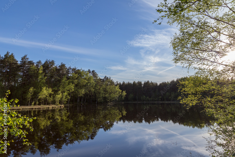 Fototapeta premium Quiet and calm lake and reflection of a forest in Finland in the summertime.