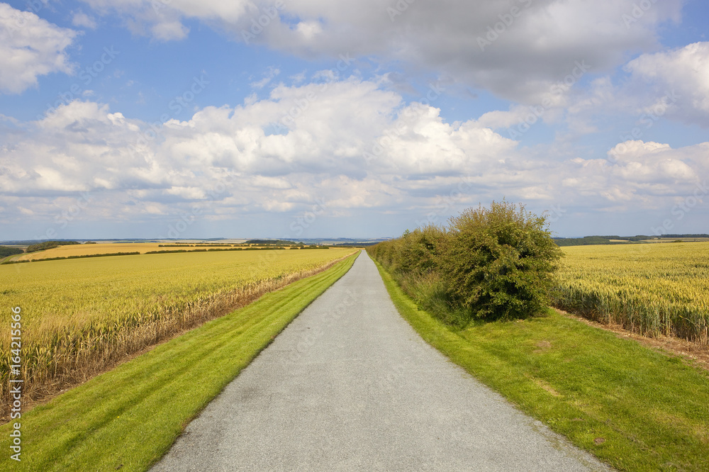 scenic farm road