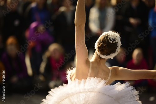 International Dance Day, ballerina, swan lake