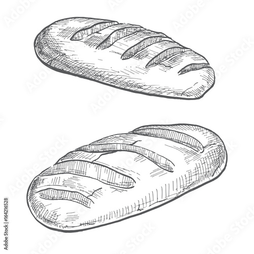 Two loaves isolated on white background. Vector illustration of a sketch style.