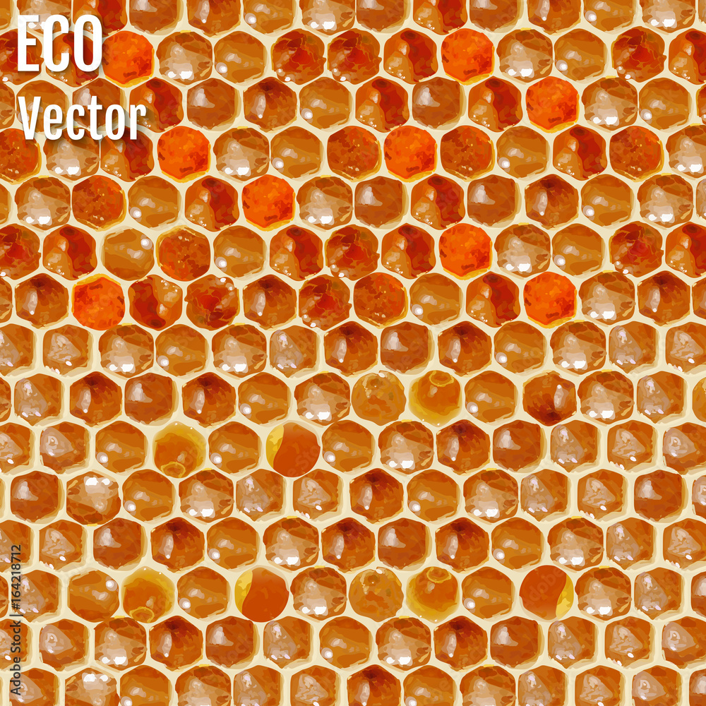 Background texture and pattern of a section of wax honeycomb from a bee hive filled with golden honey in a full frame. Vector Background texture and pattern of a section of wax honeycomb from a bee hive filled with golden honey in a full frame. Vector