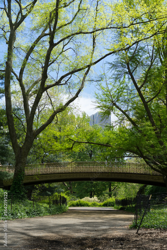 Central Park, NYC