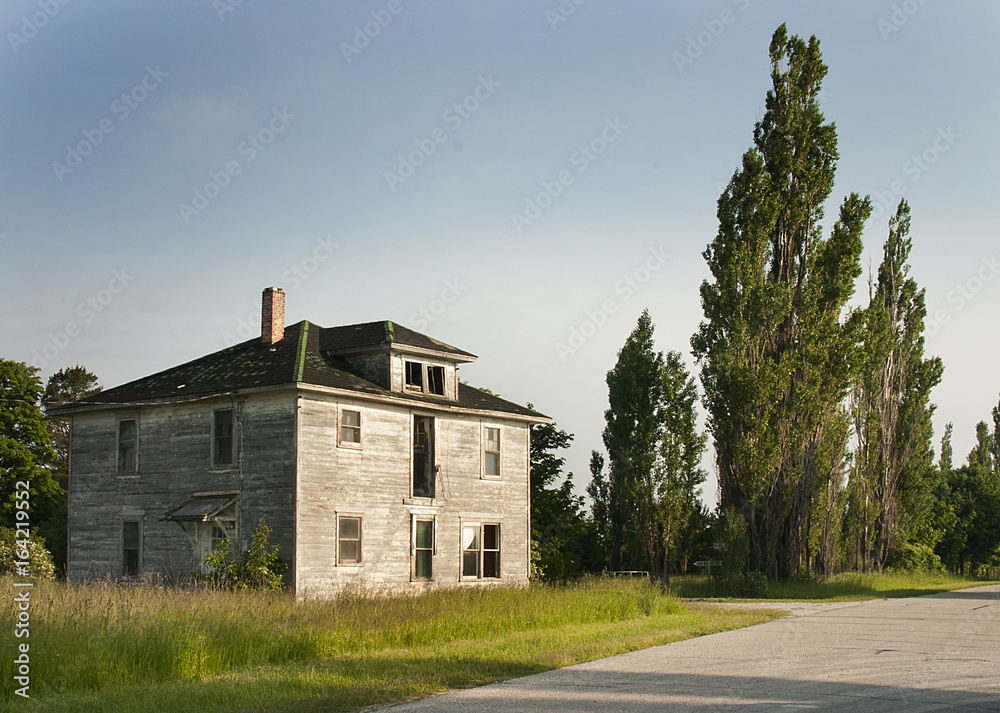 Sad Cypress- Old House