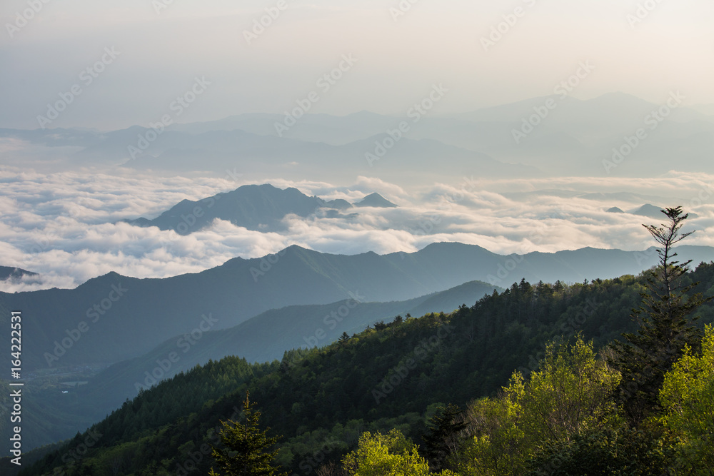 Morning sea of clouds
