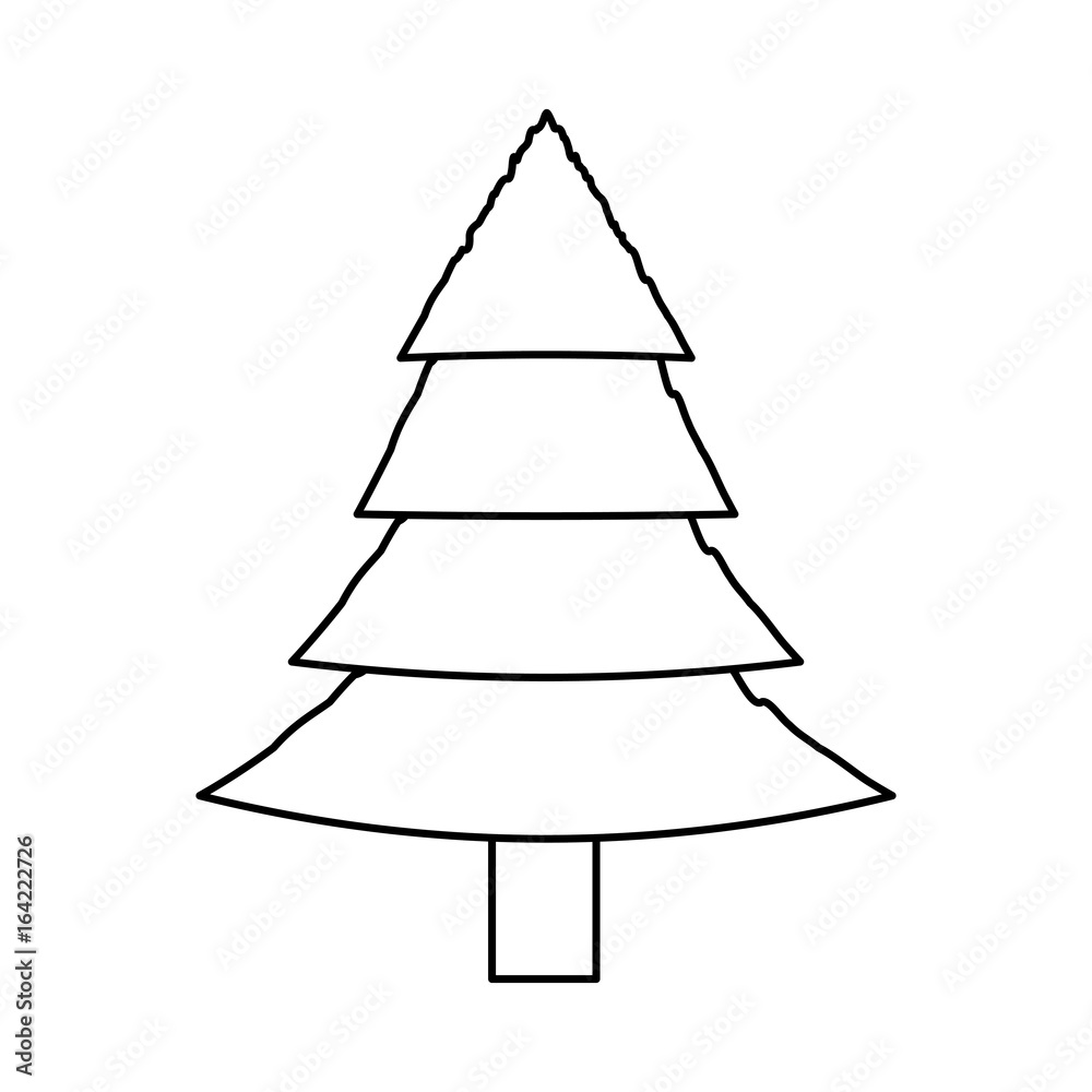 Fototapeta premium Tree pine isolated