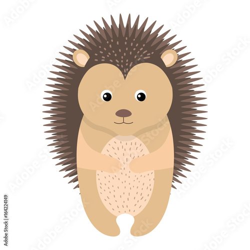 cute and tender Porcupine vector illustration design