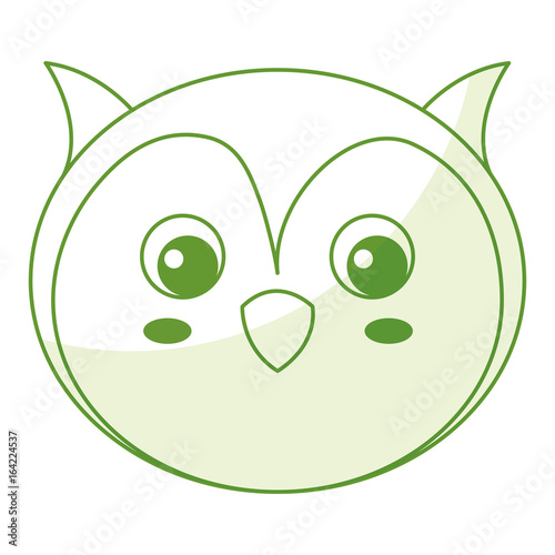 cute and tender owl vector illustration design