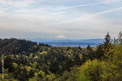 Portland Landscape with Mount St Helens in Distance